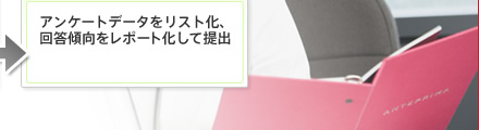 アンケートデータをリスト化、回答傾向をレポート化して提出